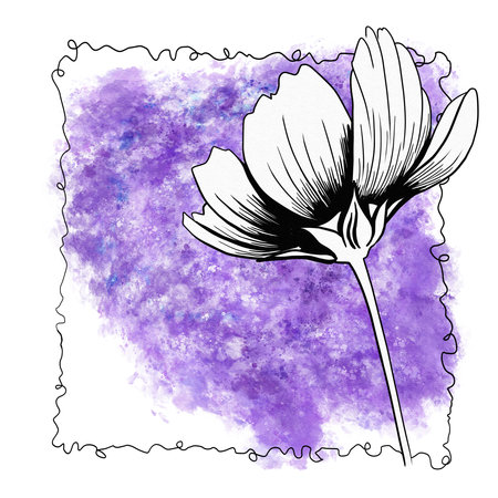 line ink drawing of cosmos flower with watercolor background as greeting cardの写真素材