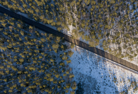 Aerial view of a straight two lane road in Poland, cutting diagonally through snow dusted conifers....