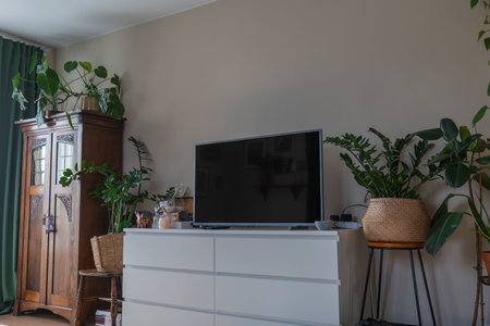 A living room corner in Malbork, Poland shows a TV on a white dresser, houseplants, and a vintage armoire. Soft side light highlights green foliage and warm decor.の写真素材