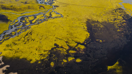 Aerial image of Iceland's volcanic terrain with yellow and green moss, dark lava fields, and braided rivers creating intricate natural patterns.の写真素材