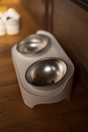A modern dual pet feeder sits on a wooden floor indoors, one bowl with dry kibble and one empty...