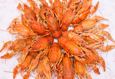 Set the crayfish on the tableの写真素材