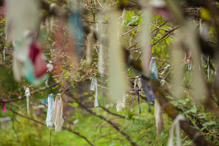 Shamanic treeの写真素材