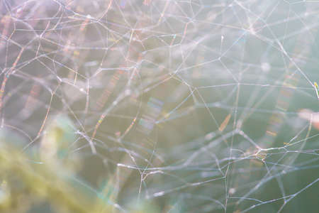 Abstract fibres in close-up. Webの写真素材