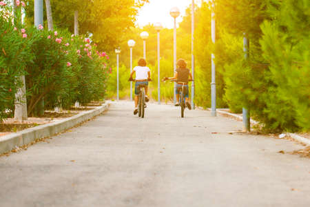 Two teenagers ride bikes in the Park. Stay on the bike. Cycling. Romance on bicyclesの写真素材