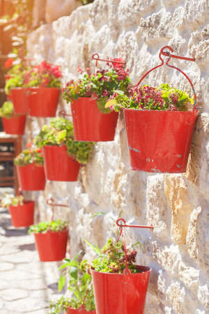 Small flowers grow in buckets. A lot of red pots hanging on the wall of the building. Flowers and greenery as an element of design of the exterior. Vertical frame photosの写真素材