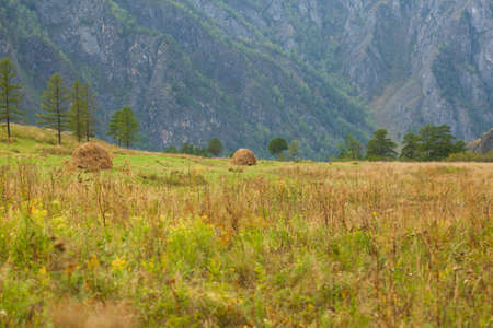 Haystacks stand in a field in the Altai Mountains. Green hill on the background of a big mountain with rocks.の写真素材