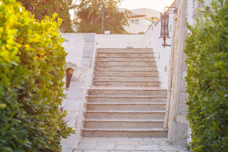 A stone staircase in the open space. Green vegetation grows near the staircase paved with stone.の写真素材