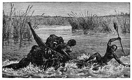 Victorian engraving of a hippopotamus attackの写真素材