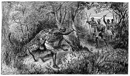 Victorian engraving of a leopard attacking an indigenous hunterの写真素材