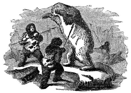 Victorian engraving of inuit hunting polar bearの写真素材
