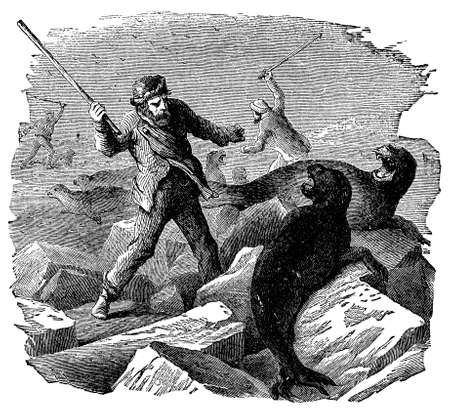 Victorian engraving of Arctic seal huntersの写真素材