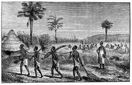 Victorian engraving of an African village with slavesの写真素材