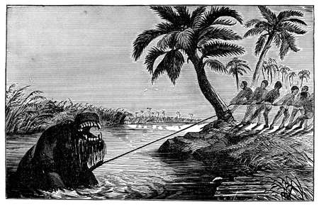 Victorian engraving of a hippopotamus huntの写真素材