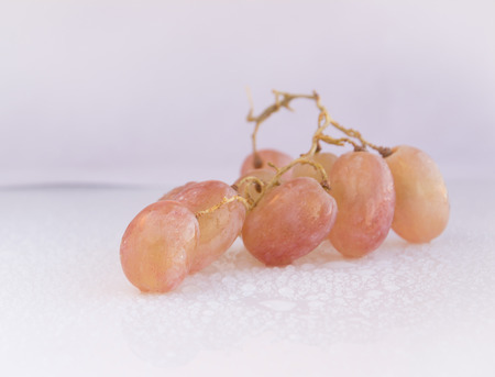 Grapes with water drops a horizontal formatの写真素材