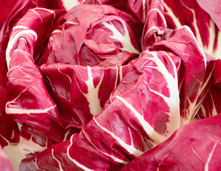 Lettuce leaves radicchio of red color out-of-focusの写真素材