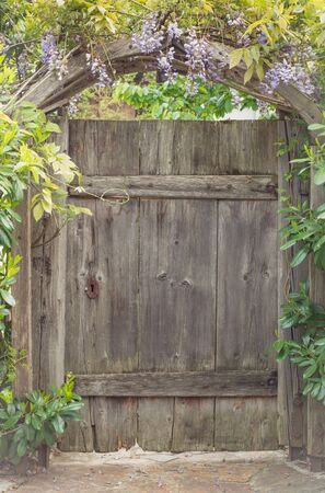 Old wooden wicket gate with wisteria flowersの写真素材