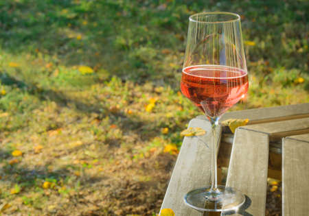 Glass with frizzante on blurred autumn backgroundの写真素材