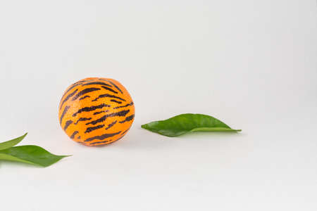 Mandarin in tiger coloring with stripes on a light paper backgroundの写真素材