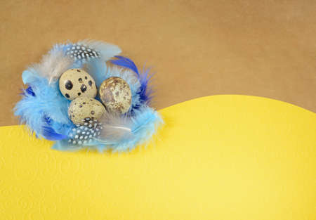 Easter background with three quail eggs in a nest of feathers