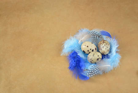 Three quail eggs in a nest of feathers on a brown backgroundの写真素材