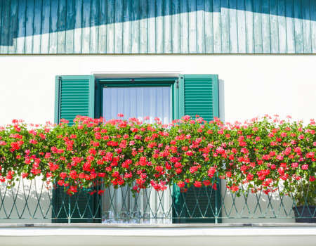 View with red balcony flowers, window and green shuttersの写真素材