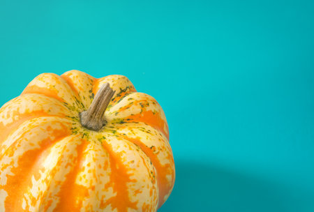 Turquoise background with part with motley pumpkinの写真素材