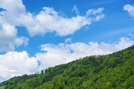 Spring view of a green forest in the distance and a blue sky with white clouds in a horizontal formatの写真素材
