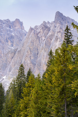 View of rocks behind fir trees on a cloudy day, Italy