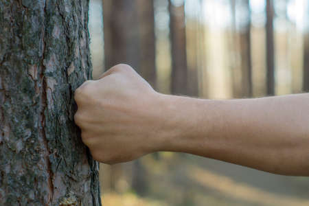 A man punches a pine tree on a blurred background of the forestの写真素材
