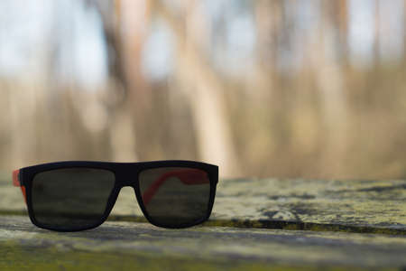 Sunglasses lie on an old tree on a blurred background of natureの写真素材