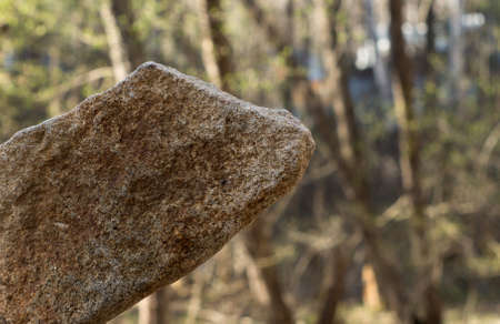 A man holds a stone in his hand, on a blurred background of nature.の写真素材