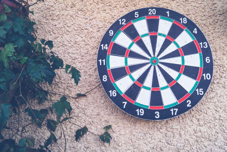 Dart board on a green plant background