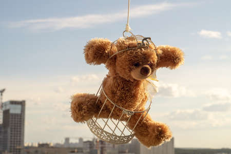 Teddy bear in a cage against the skyの写真素材