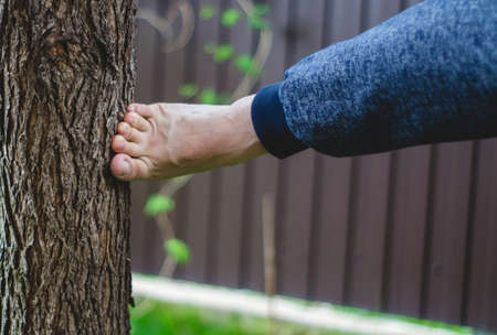 Kicking a bare foot in a tree barkの写真素材