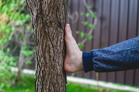 Kicking a bare foot in a tree barkの写真素材