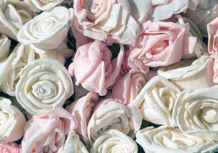 Background of rosesの写真素材