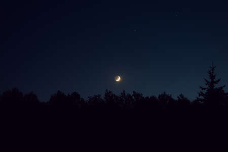 Moon over forest landscape in complete darkness