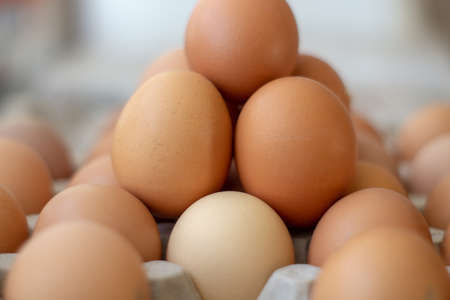 brown chicken eggs in a package with a blurry backgroundの写真素材
