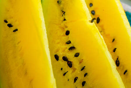 yellow watermelon in handの写真素材
