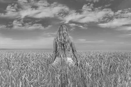 black and white toned portrait of a young girl in a summer field from the backの写真素材