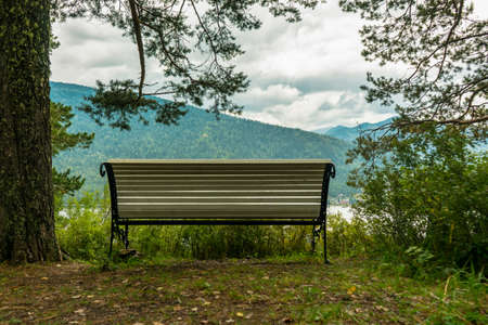 bench by the tree with mountain viewsの写真素材