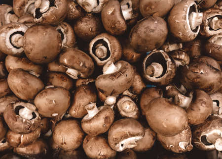 close up of mushrooms on market standの写真素材