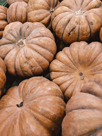 Close-up of colored pumpkins with rough surface patterned vegetables sold in fresh markets.
