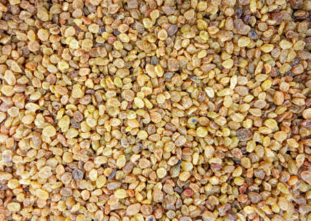top view of dried golden raisins for backgroundの写真素材