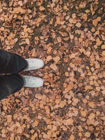 Feet in running shoes in the autumn leaves. Top view.の写真素材