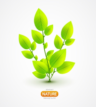 Fresh green leaves vector abstract backgroundのイラスト素材