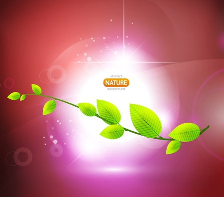 Nature shiny vector background. Leavesのイラスト素材