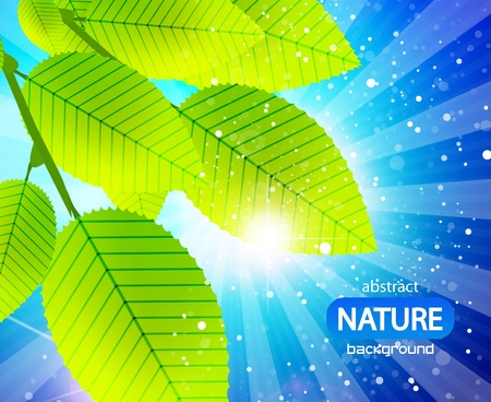 Green leaves on the blue sky vectorのイラスト素材