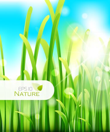 Nature backgroundのイラスト素材